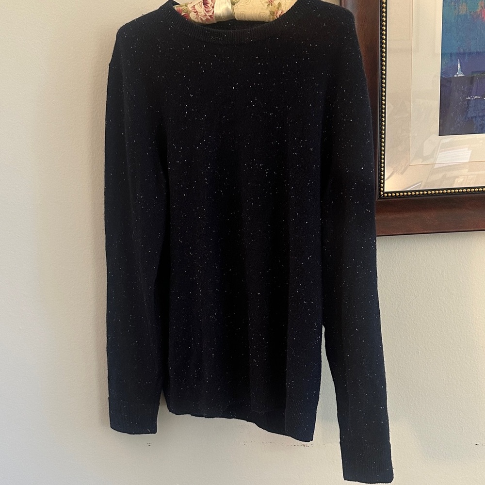 Everlane Cashmere Navy Speckled Sweater
